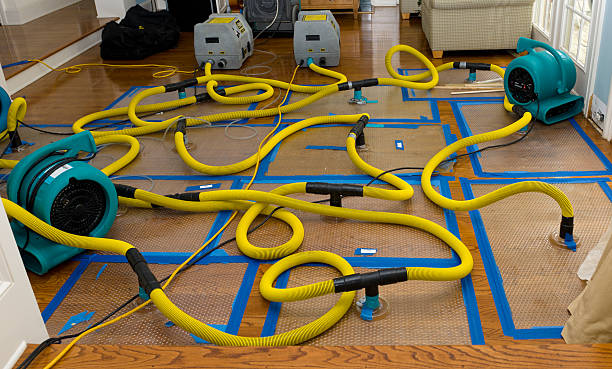 Professional Water Damage Repair technician working in Frankfort, OH
